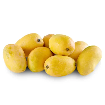 Chaunsa Mango Export Quality – (Mango of Paradise)