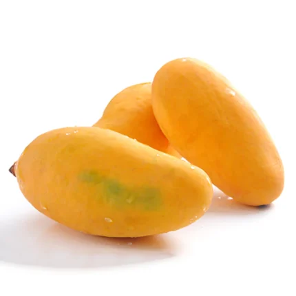 Langra Mango Pakistan لنگڑا Export Quality
