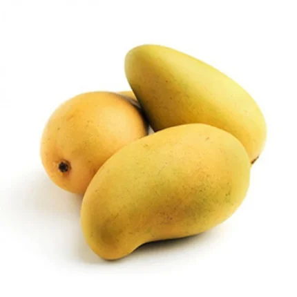 Sindhri Mango سندھڑی Export Quality